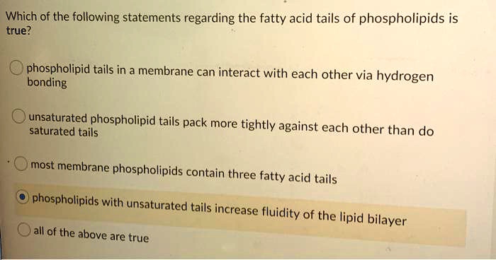 Which of the following statements about phospholipids is true