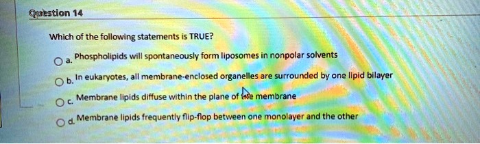 Which of the following statements about phospholipids is true