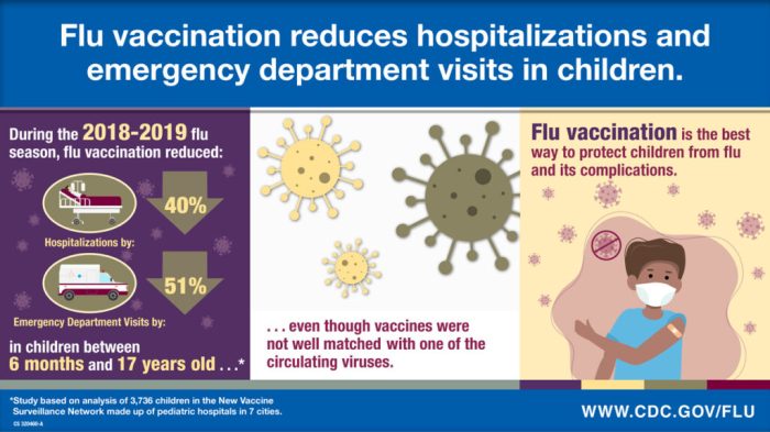 Flu vaccination shots provide external benefits. thus