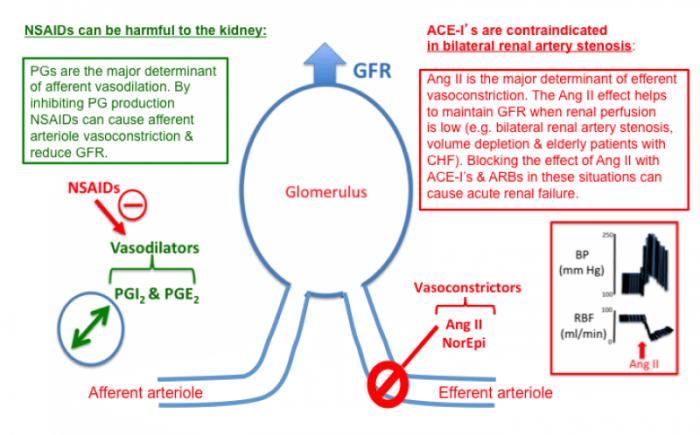 Ace inhibitors help protect patients against dvt